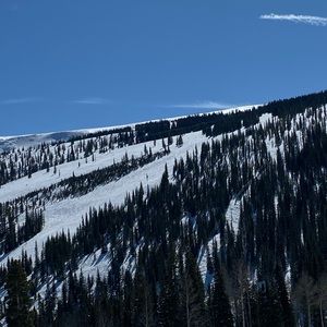 Meet your Posher, Gracie